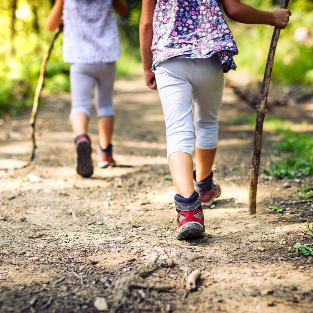 Walk in the forest